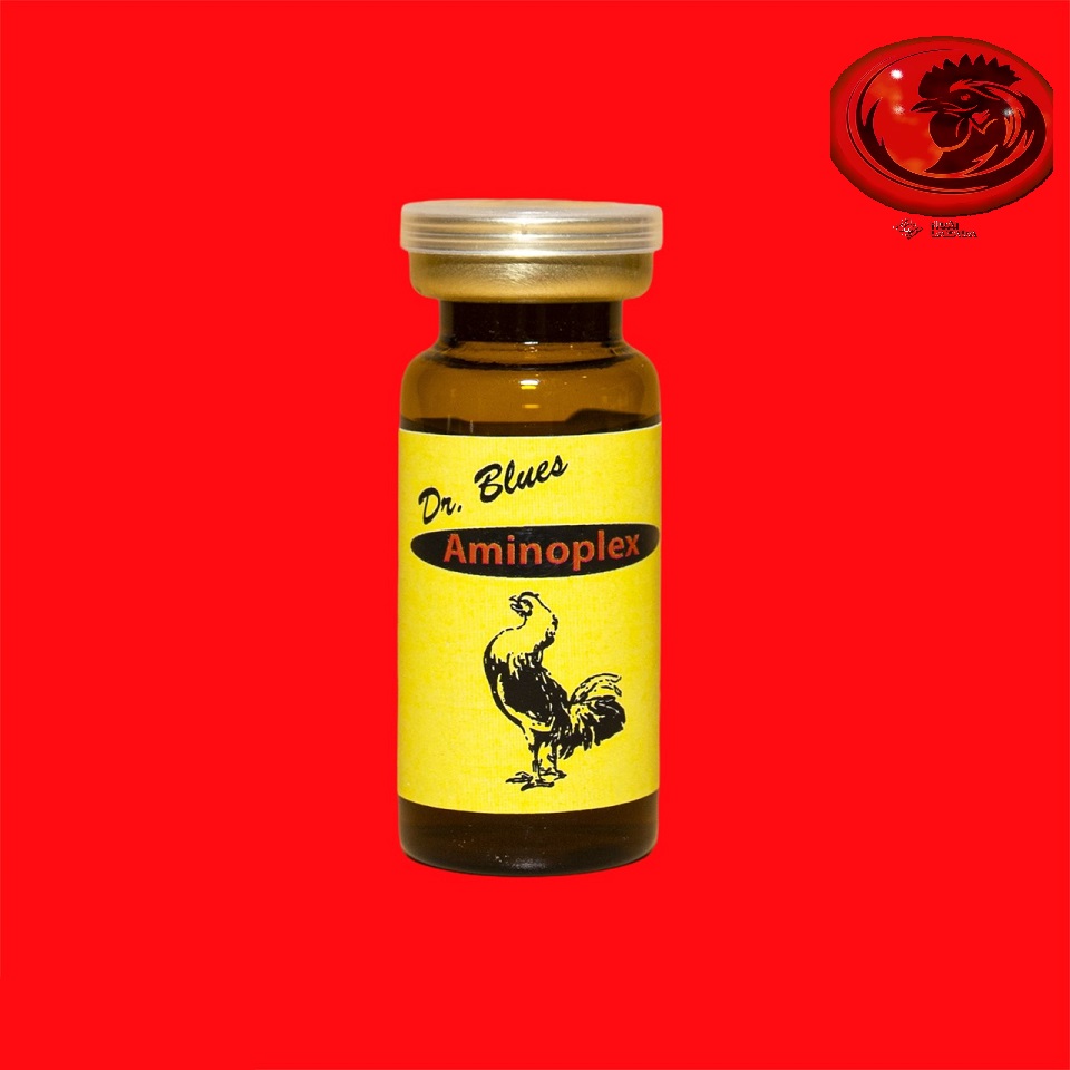 AMINOPLEX BRECO CHÍCH tăng bo, tăng cơ 10ml