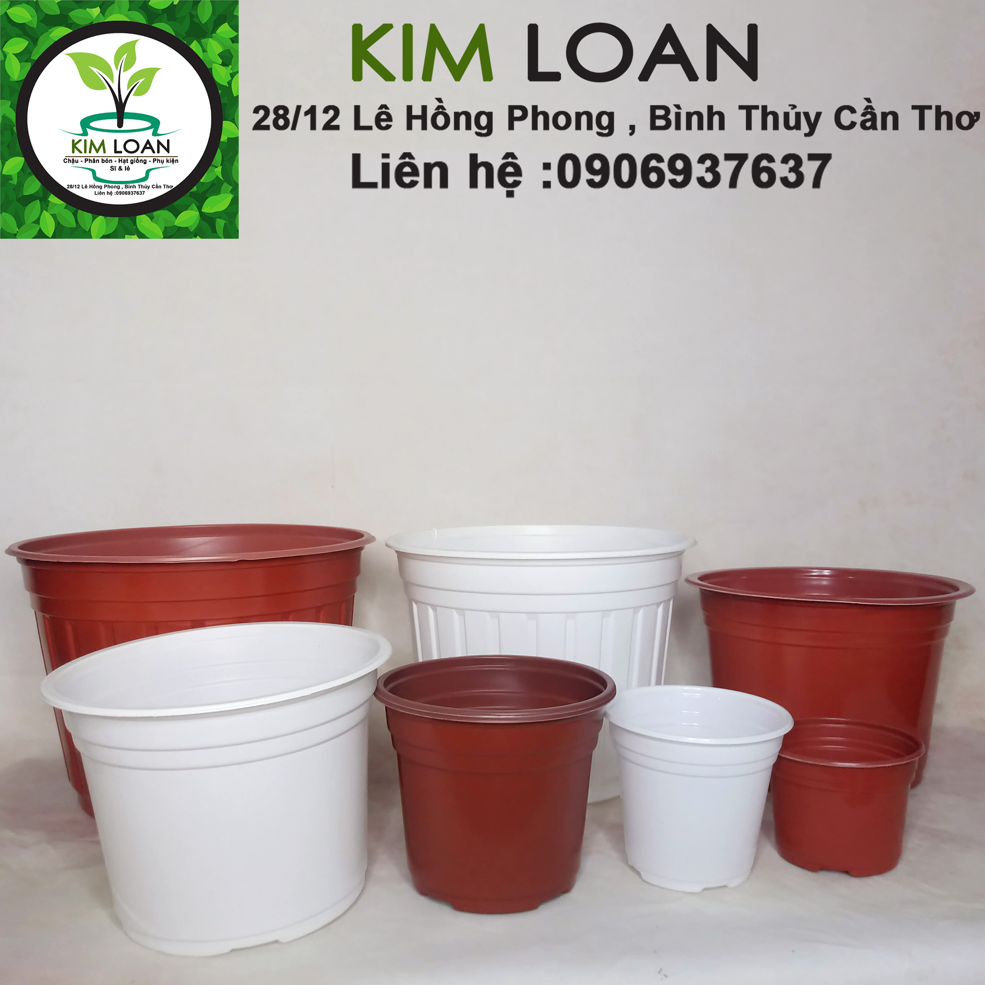 Combo 50 chậu nhựa vành cứng TTK C1 11x8cm