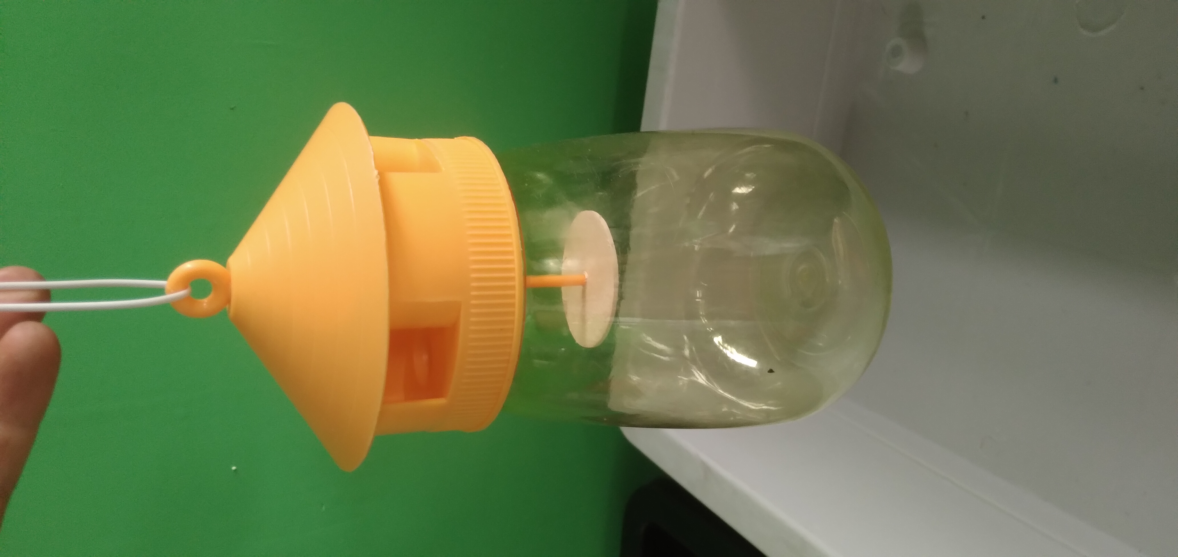 [HCM]đèn bắt ruồi vàng