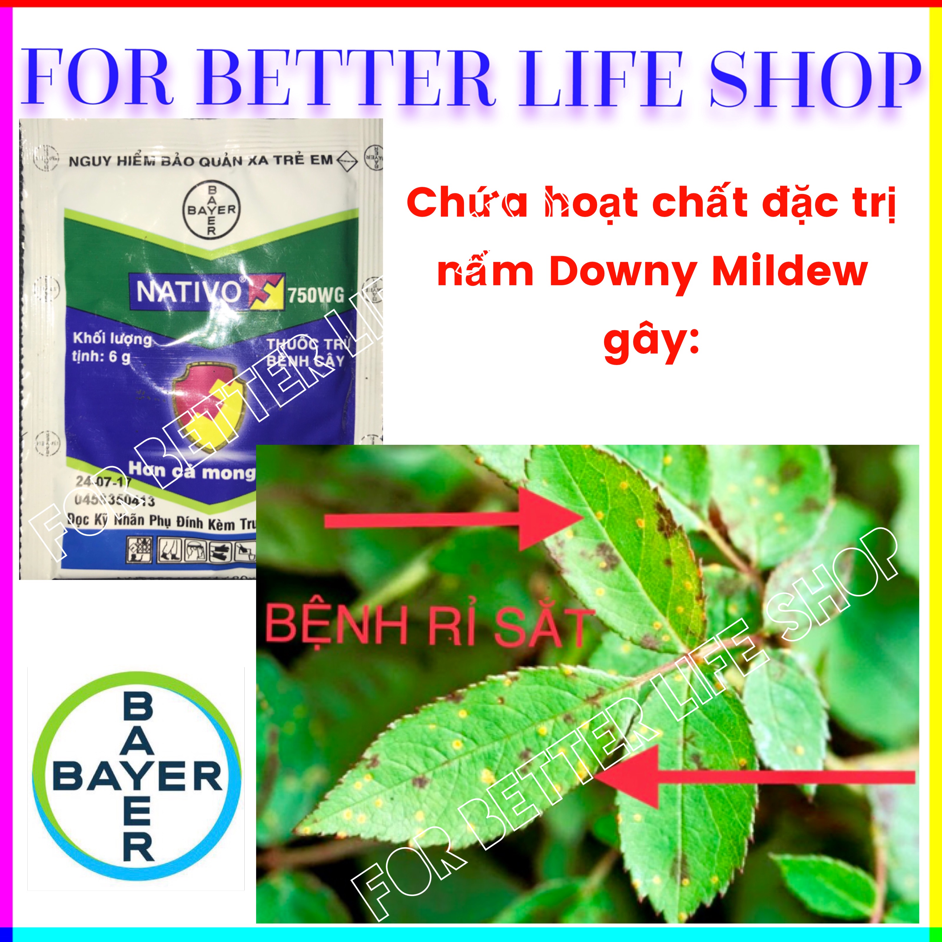 Trừ Rỉ Sắt, Thán thư, Đốm lá trên Hoa Kiểng, cây trồng NATIVO 750WG Bộ 10 gói