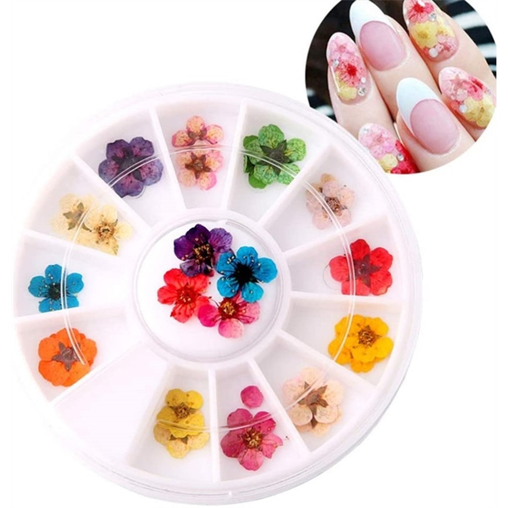 Set Hoa Khô 5 Cánh Trang Trí Nail 12 Màu- phụ kiện nails minh anh