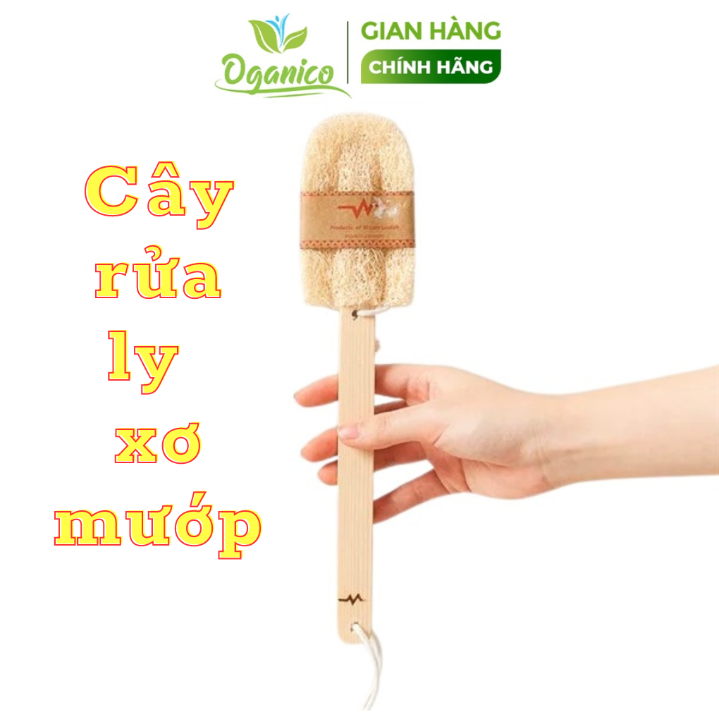 Cọ rửa ly / xơ mướp / cây rửa ly xơ mướp vi lâm crlxm