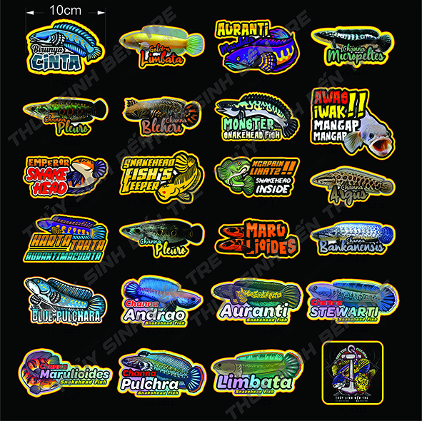 sticker - tem dán cá lóc cảnh 10cm - trang trí hồ cá theo phong cách indo - màu sắc bắt mắt