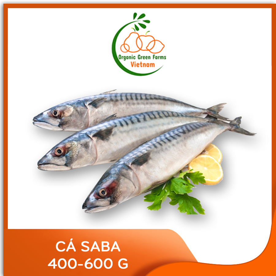 [OGF]- Cá Saba (400 - 600 Gr/Con/Bao) - [ Giao nhanh 4h HCM ] + Organic Green Farms Vietnam