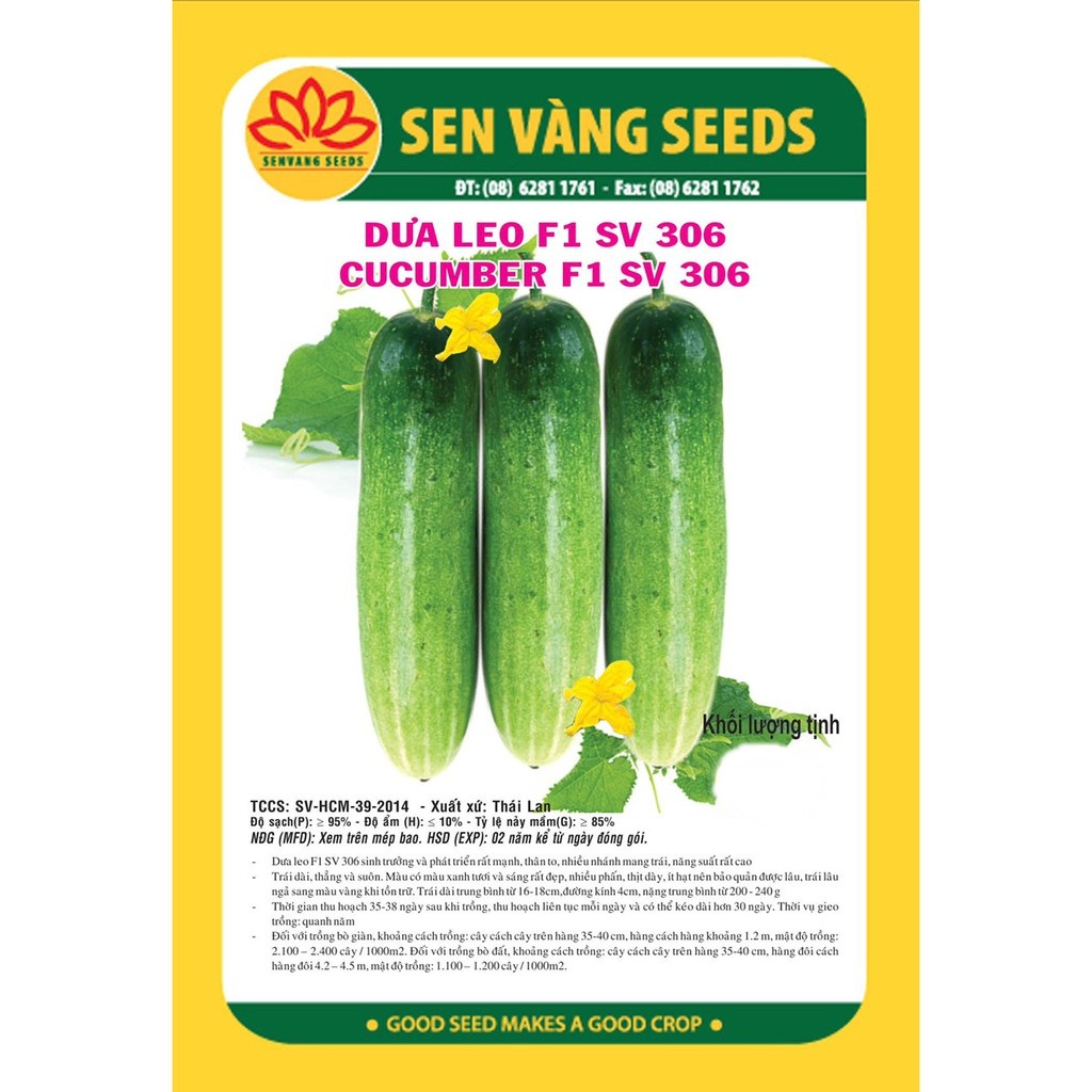 Hạt Giống Dưa Leo F1 SV 306 - 1Gr