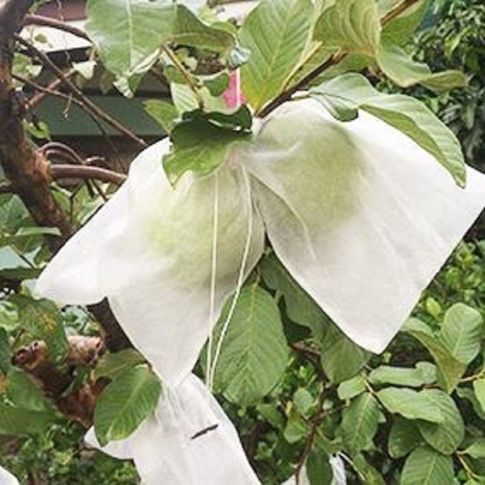 SET 500 TÚI  BỌC TRÁI CÂY BƠ, ỔI, XOÀI, NA CÓ DÂY RÚT 16x20CM Đường May Cẩn Thận , Có thế tái sử dụng