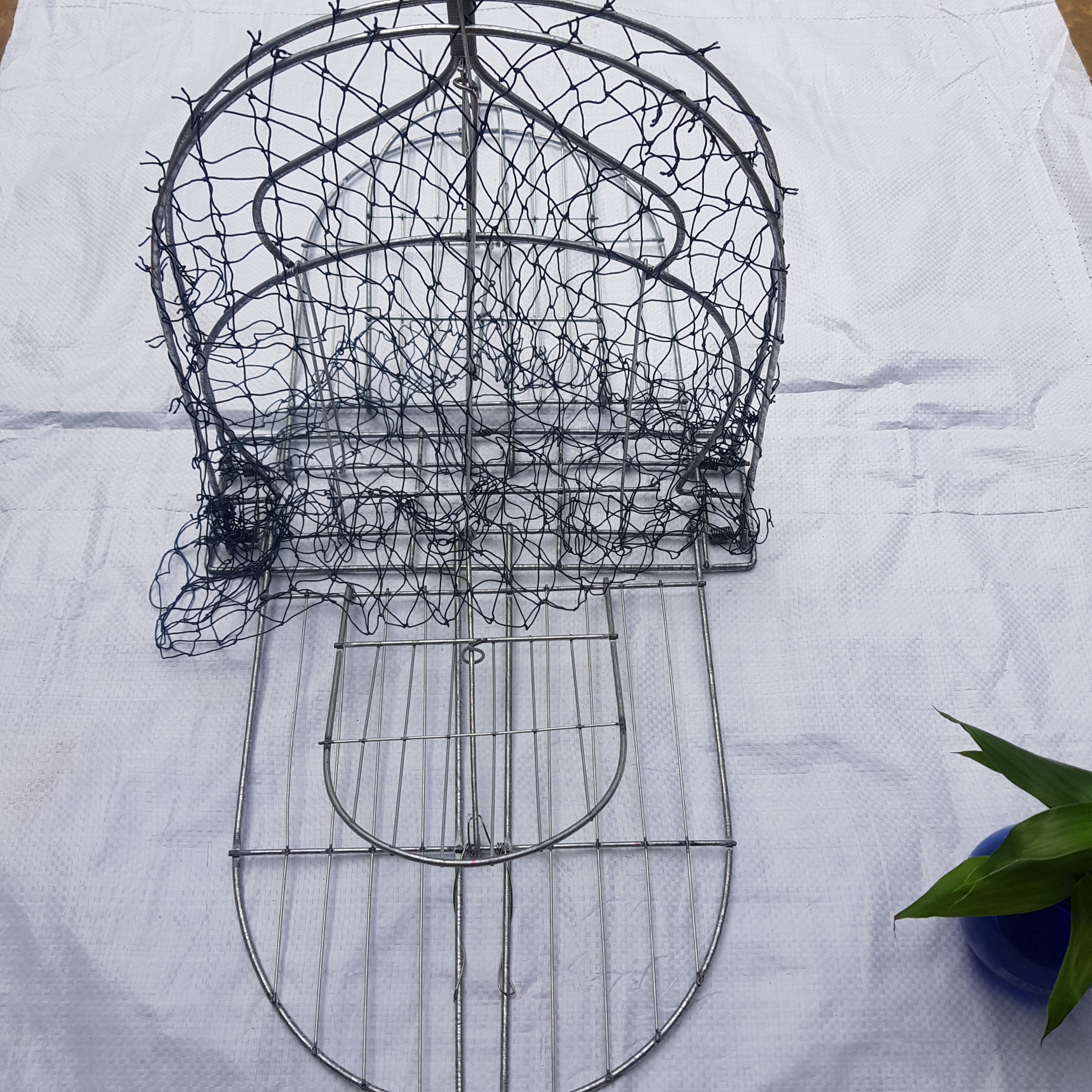 Mẹt Treo Bẫy Bìm Bịp Quốc