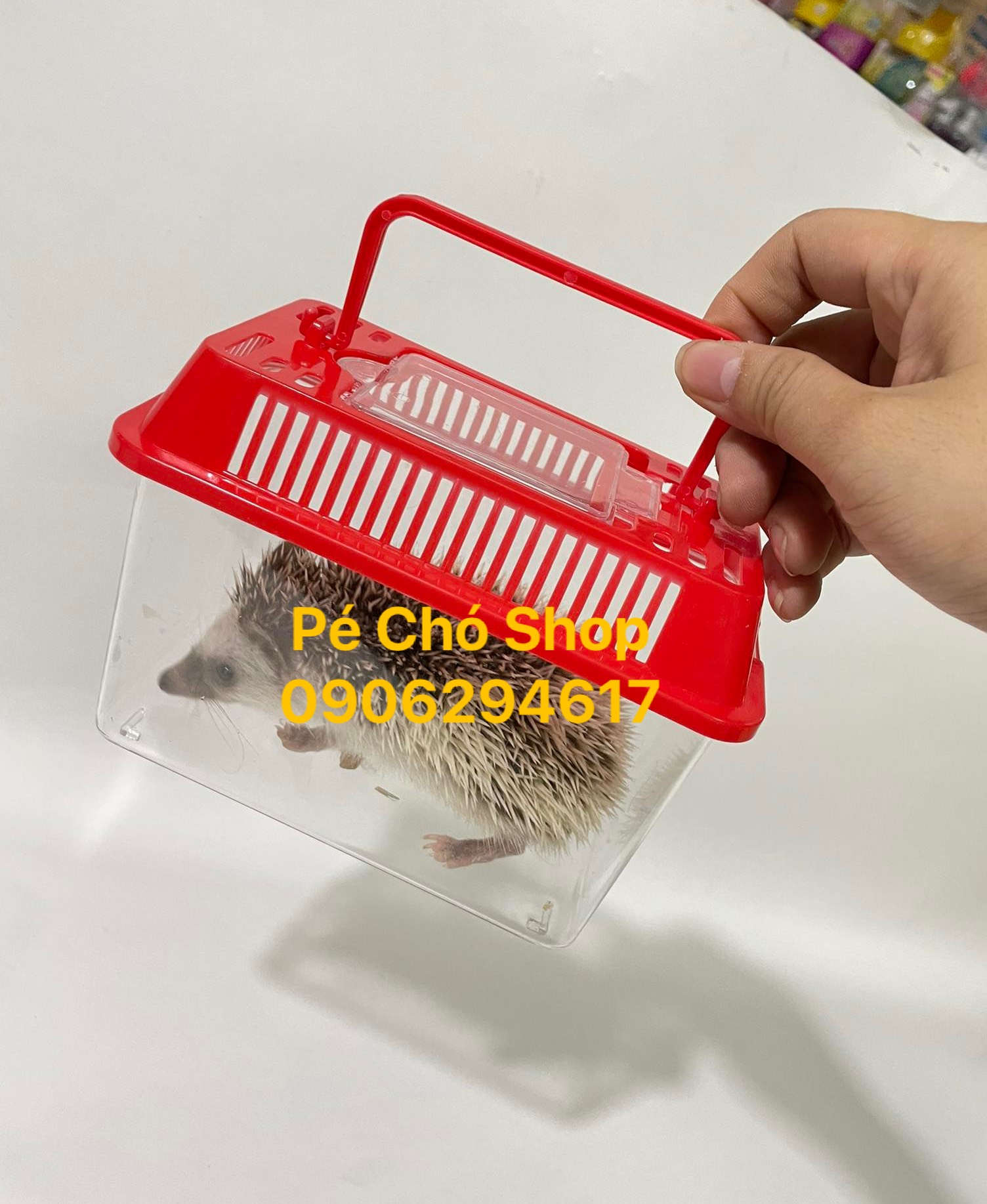 Hộp Mika Nhỏ vận chuyển thú cưng bò sát