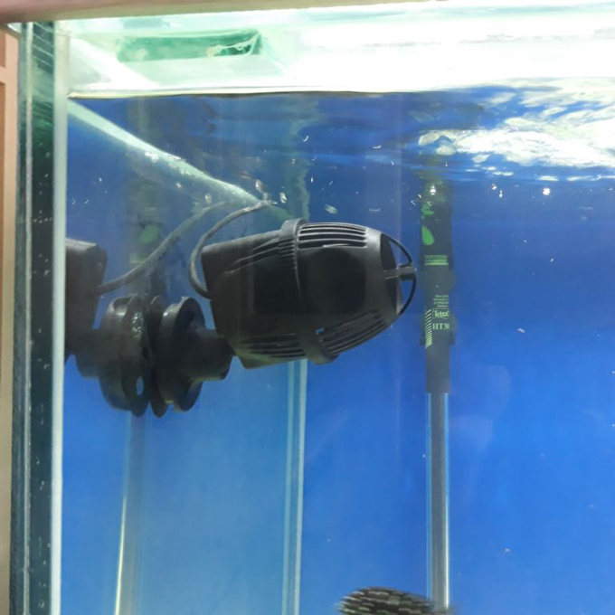 Máy thổi luồng Sobo WP 100M-6W cho hồ cá cảnh