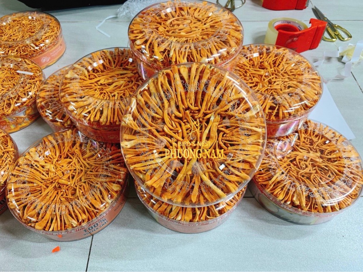 Đông trùng hạ thảo sấy thăng hoa 10g 250k