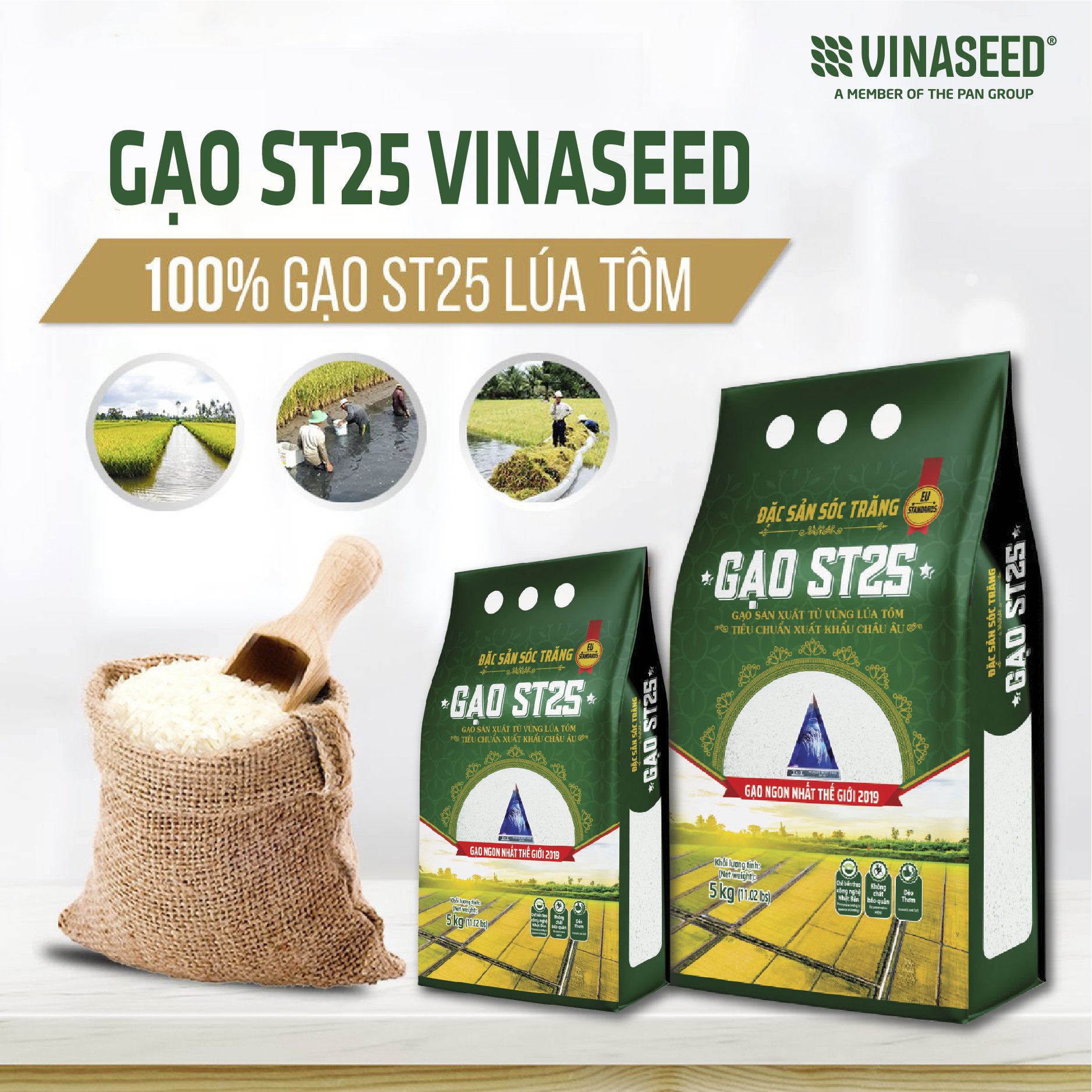 Combo gạo st25 vinaseed 10kg - gạo ngon chuẩn giống lúa st25