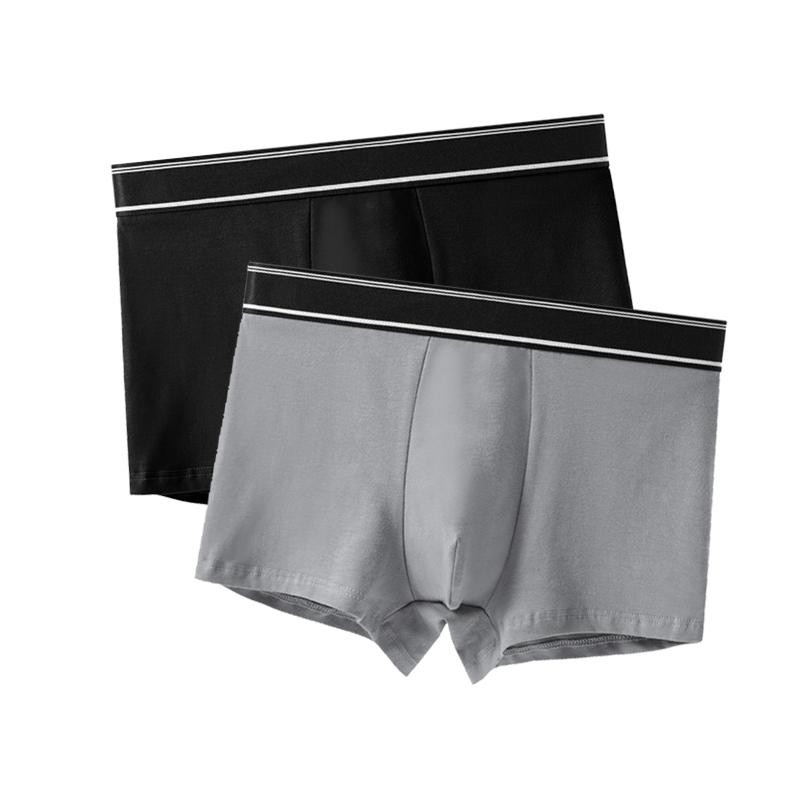 Combo 2 quần lót nam boxer, set 2 sịp đùi cotton màu trơn đơn giản