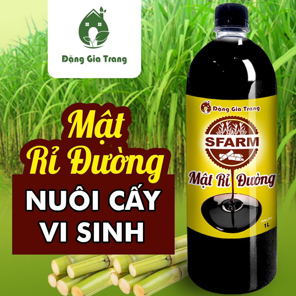 Mật rỉ đường nuôi cấy vi sinh hãng SFARM dùng ủ phân hữu cơ, ủ GE chuối tưới cây
