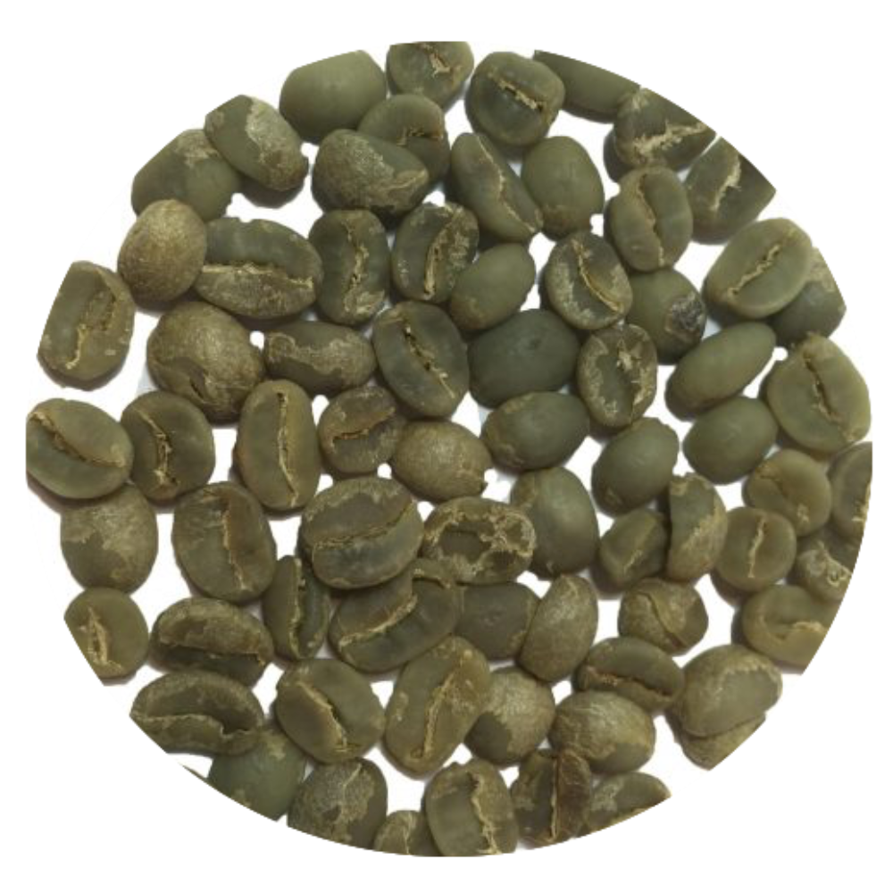 1kg Cà Phê Nhân Xanh Arabica Cầu Đất – Washed – Catimor – 83 điểm SCA