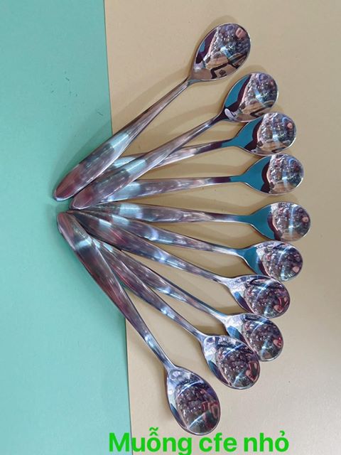 [HCM]Muỗng Cà Phê Nhỏ Cao Cấp (10 cái)