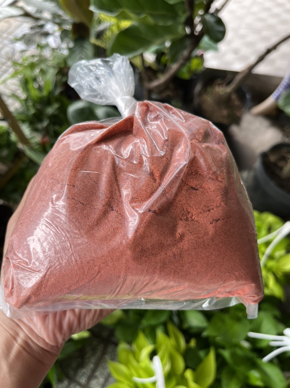 1kg phân kali đơn , phân kali đỏ, ngọt trái nuôi trái