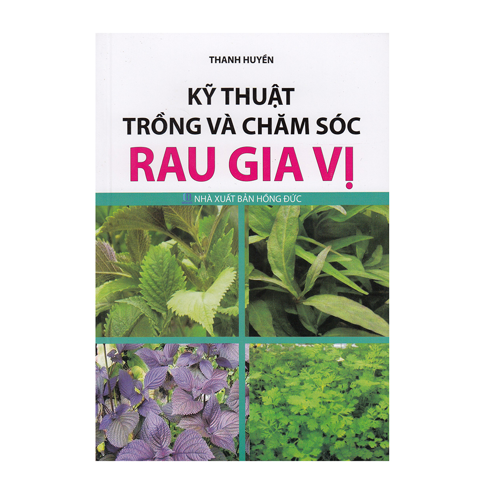 Kỹ thuật trồng và chăm sóc rau gia vị