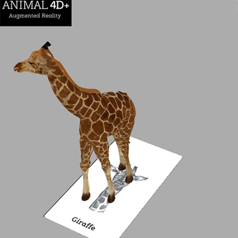 Bộ Thẻ Animal 4D+ Hình Ảnh Con Vật Sinh Động - Thúc Đẩy Trí Thông Minh, Khả  Năng Sáng Tạo Cho Bé | Lazada.Vn