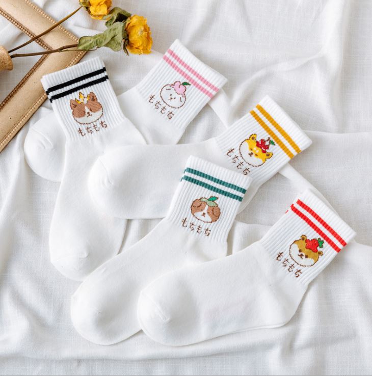 Set 5 đôi tất vớ nữ gấu trắng cao cổ