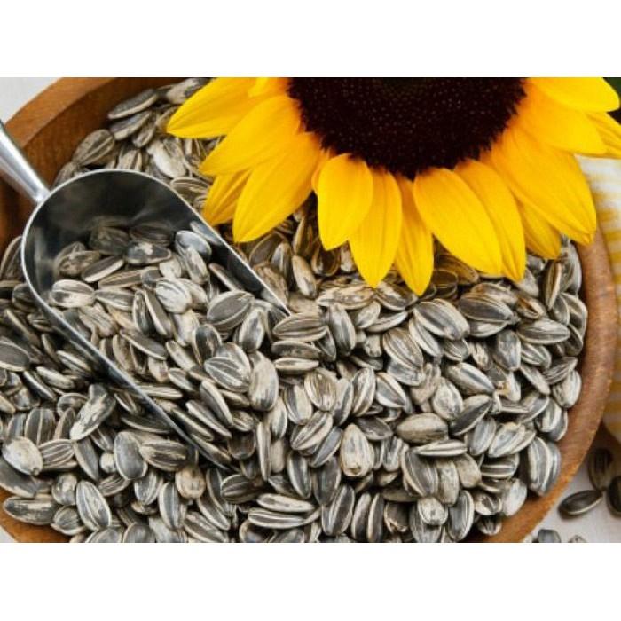 1KG hướng dương rang chín, hạt to mẩy