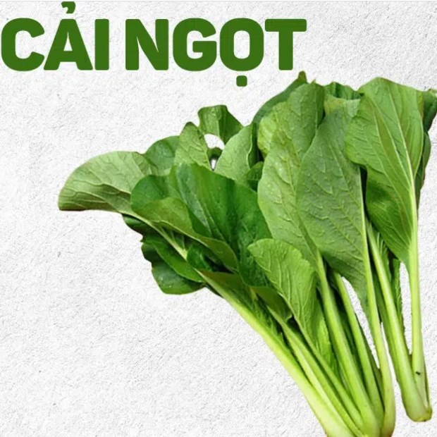 Hạt giống rau cải ngọt gói 20gram chất lượng cọng xanh cao sản TN 12, nhanh thu hoạch, năng suất cao