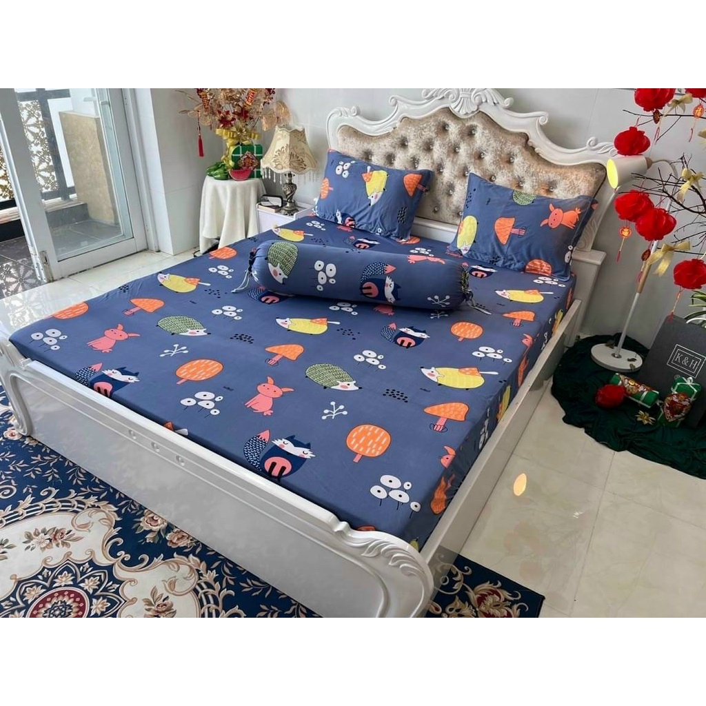 Drap thun Hàn quốc đủ size