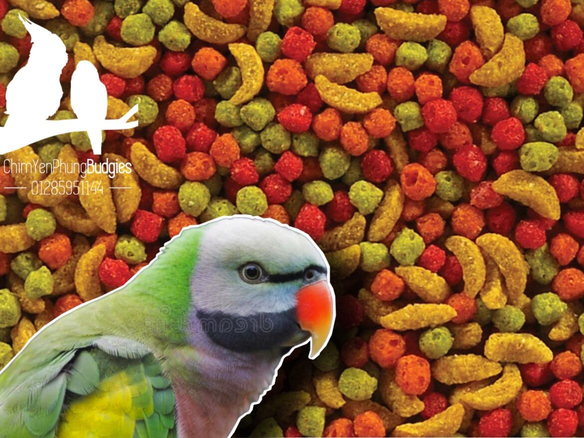 1kg Zupreem (hạt trái cây) hỗn hợp cho Vẹt • Hamster • Sóc..