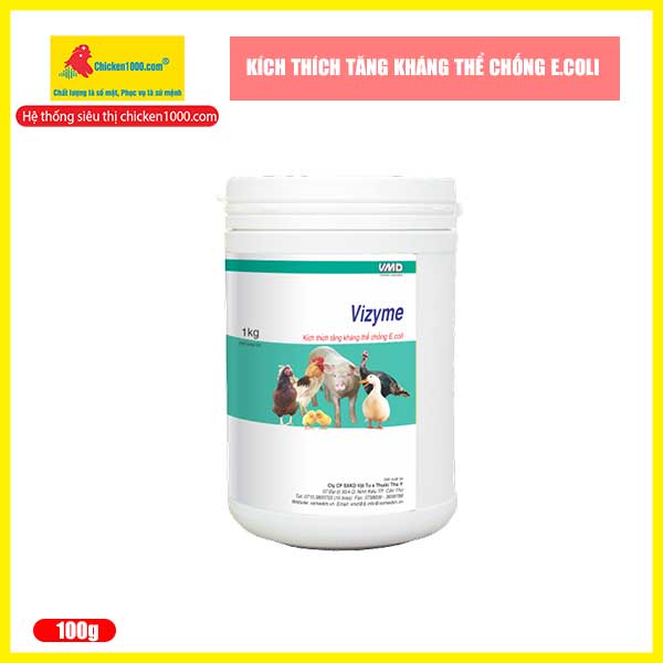 Men tiêu hoá cho gà vizyme hỗ trợ tiêu hoá thức ăn cho gà, vịt, heo, dê