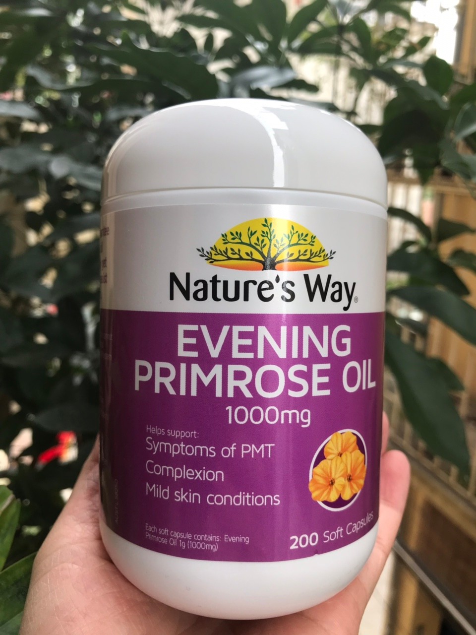 [HCM]Tinh Dầu Hoa Anh Thảo  Natures Way Evening Primrose Oil 200 Viên