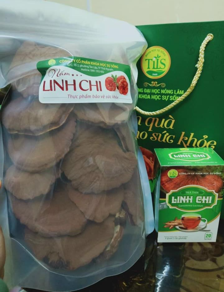 Nấm linh chi đỏ nguyên tai còn nguyên bào tử 500g