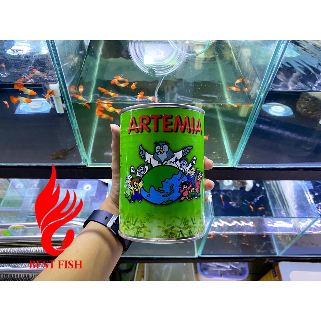 Artemia lon mỹ loại tốt