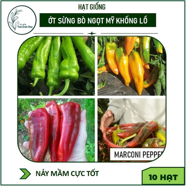 Hạt Giống Ớt Sừng Bò Ngọt Mỹ Siêu To Khổng Lồ 10 Hạt
