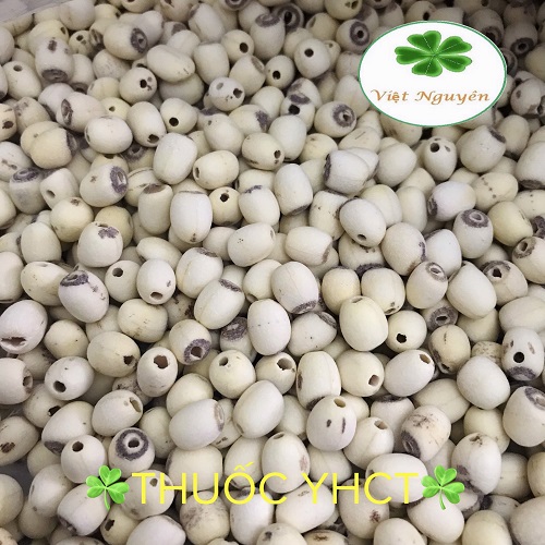 Hạt sen khô hưng yên loại 1