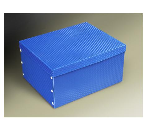 Hộp nhựa lưu hồ sơ A4 Data King Box File, LTT