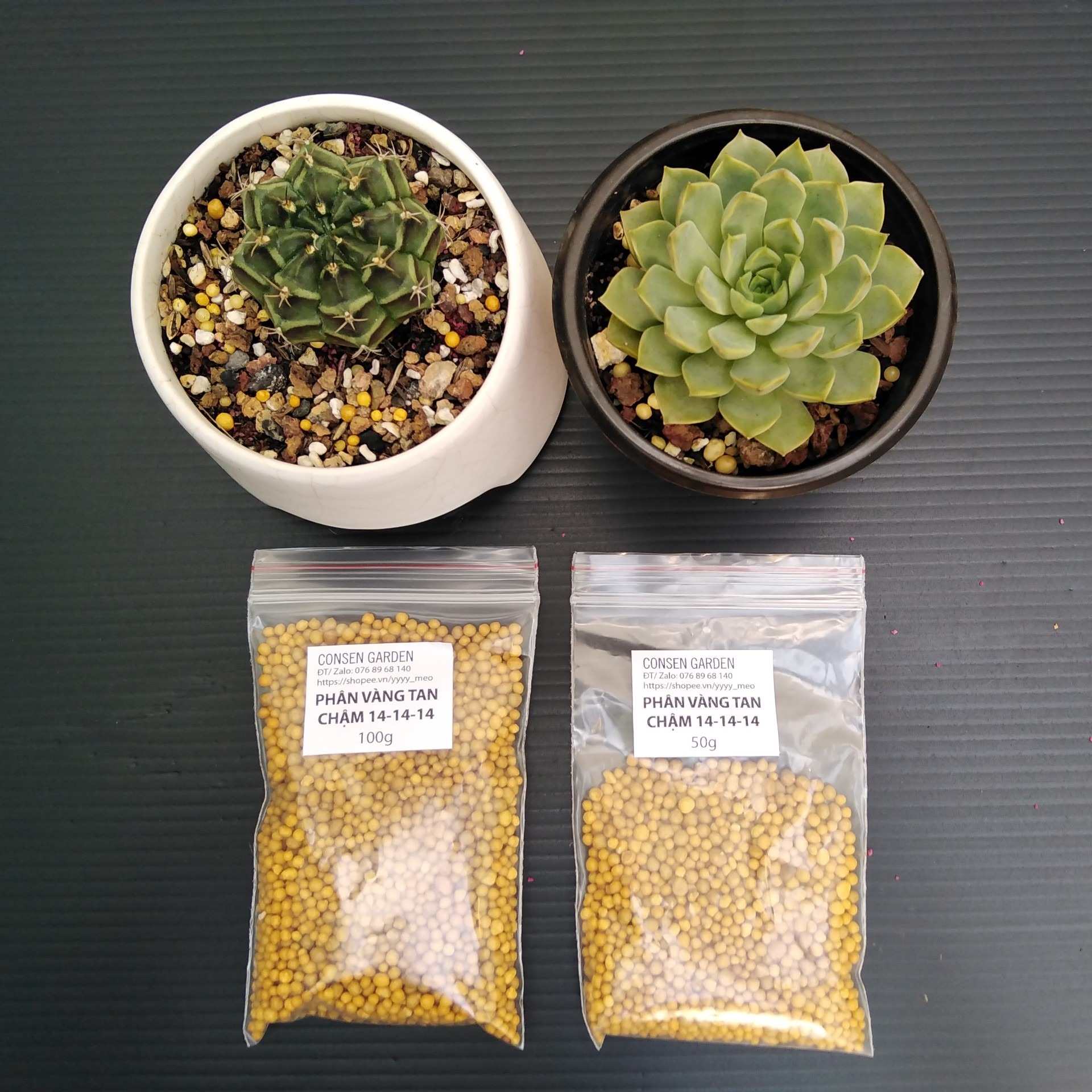 Phân Vàng Tan Chậm Túi Zip 50g, 100g/ Sản Phẩm Hỗ Trợ Trồng Sen Đá, XR