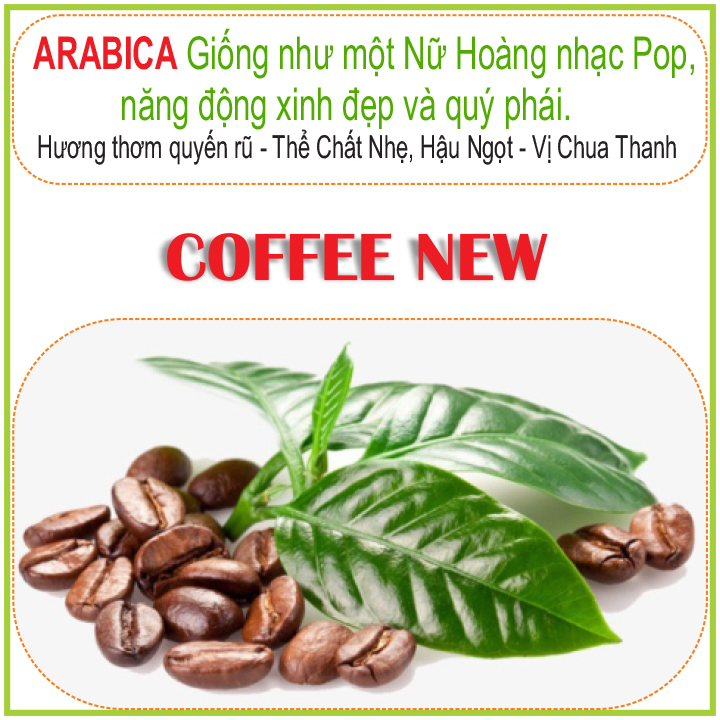 1KG Cafe nhân sống ARABICA Chưa Rang ĐẶC SẢN CẦU ĐẤT  Sàng 18 Hàng Chất Lượng Cao  Coffee New