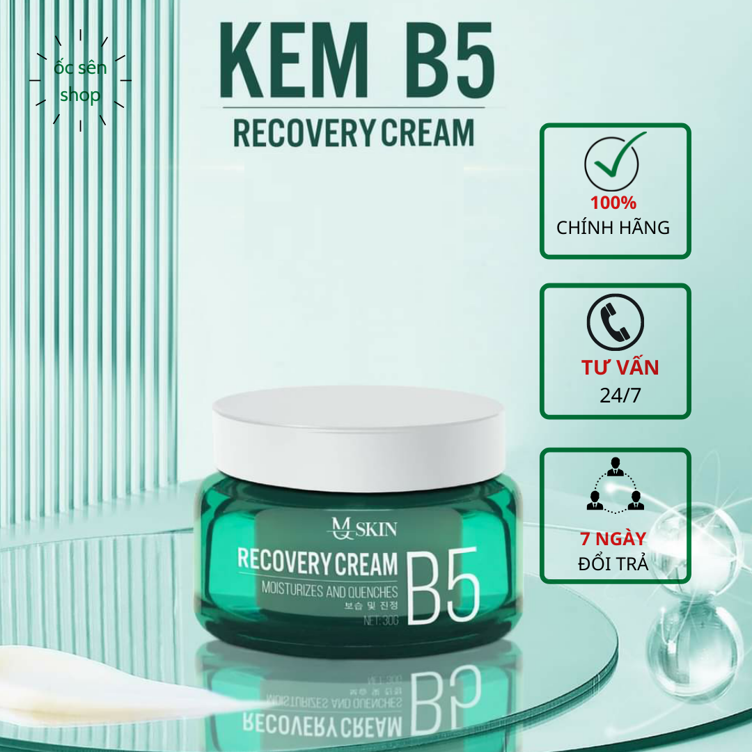 Kem dưỡng ẩm phục hồi da recovery cream b5 mq skin 30g