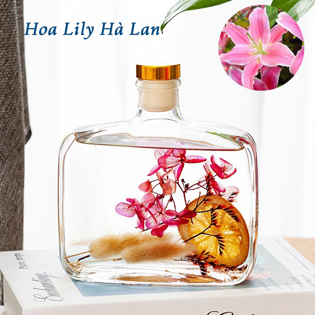 Tinh dầu thơm phòng nước hoa 100ml kèm qe khuếch tán tinh dầu - tinh dầu thơm phòng ngủ chiết xuất thiên nhiên, hương thơm dịu nhẹ lan tỏa