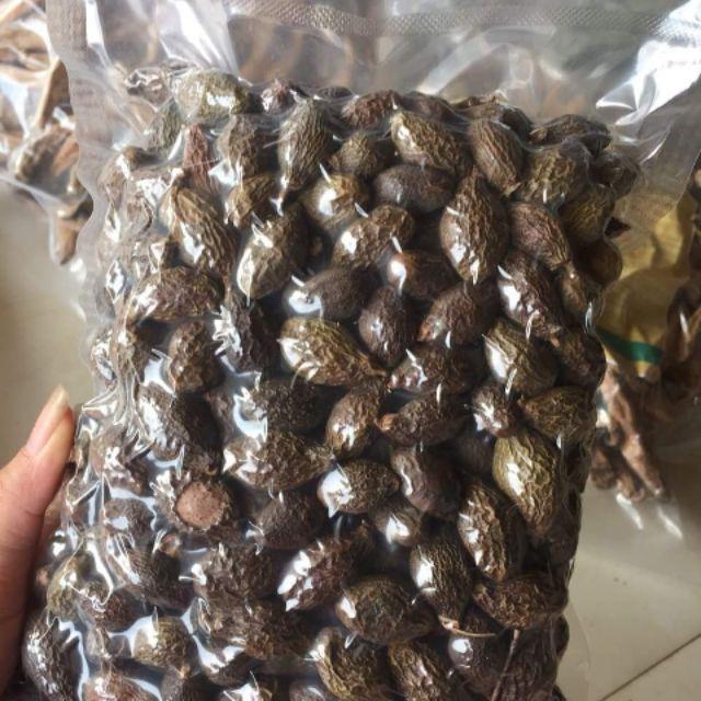 Hạt ươi bay núi ngọc linh kon tum