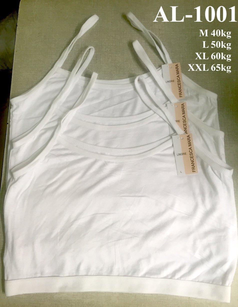 Combo 05 áo lá học sinh hàng việt nam Từ 30kg đến 65kg