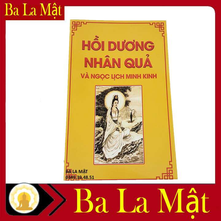 Hồi Dương Nhân Quả