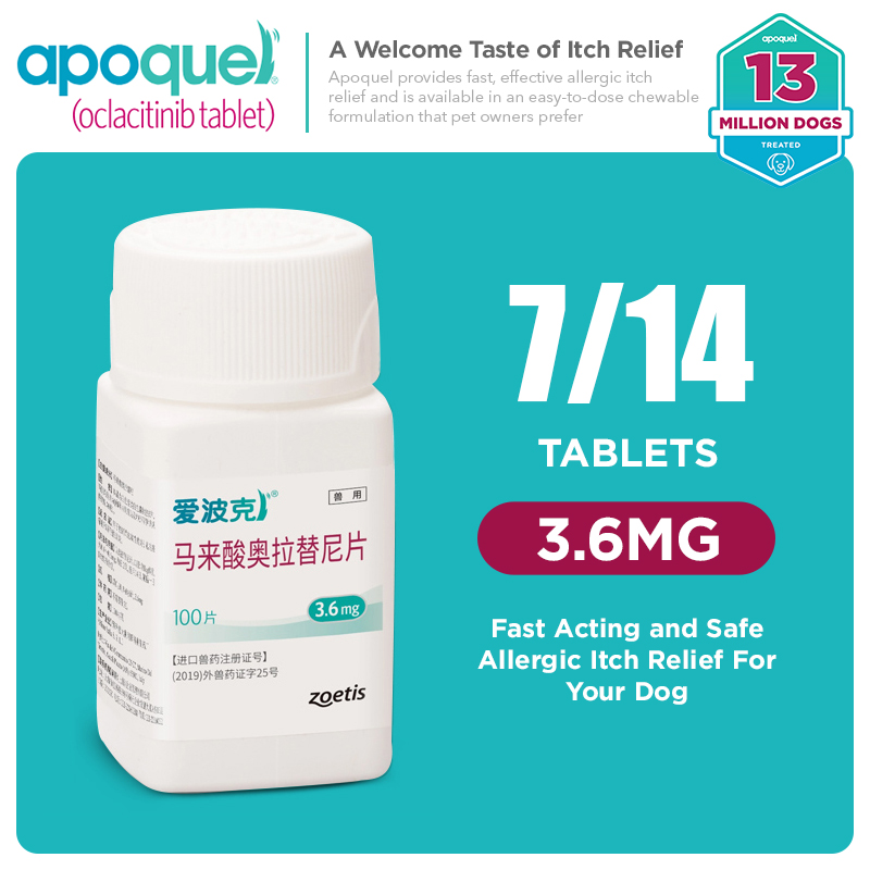 [7/14viên] Viên Apoquel Ngứa Cho Chó (Zoetis) - 3.6mg