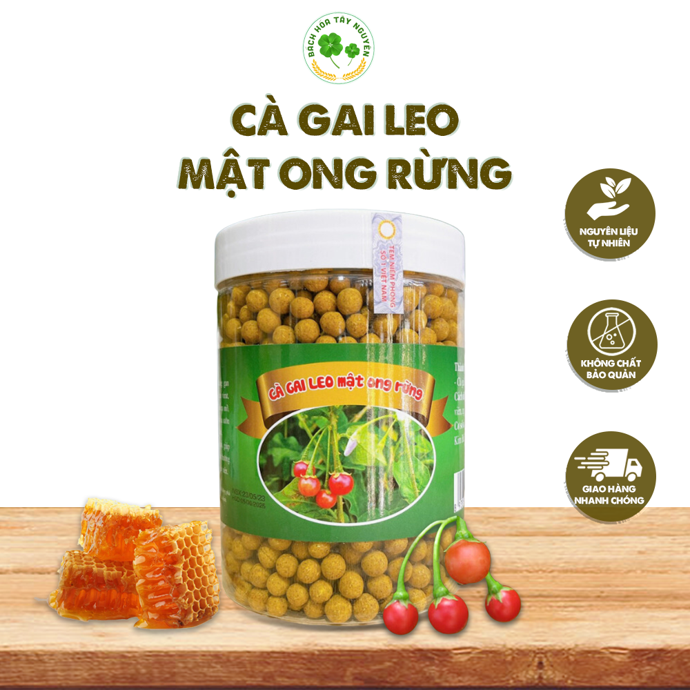 Viên cà gai leo mật ong rừng hộp 500gr
