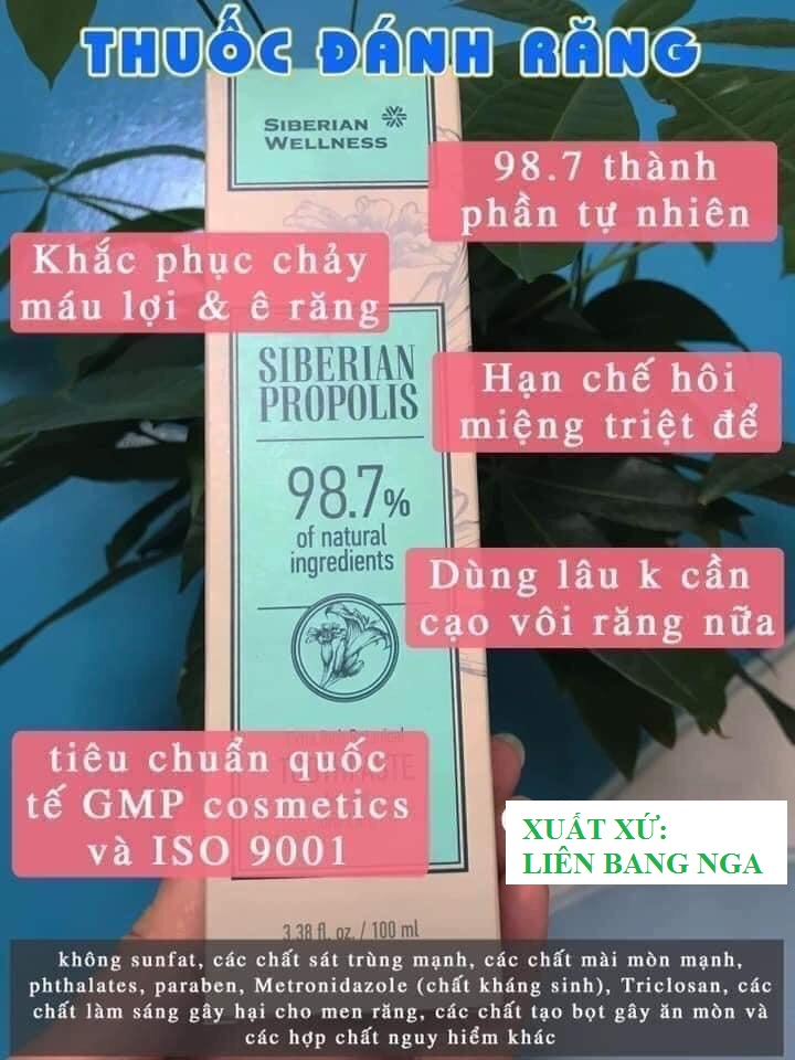 [HCM][HÀNG CHÍNH HÃNG] Kem đánh răng keo ong Siberi