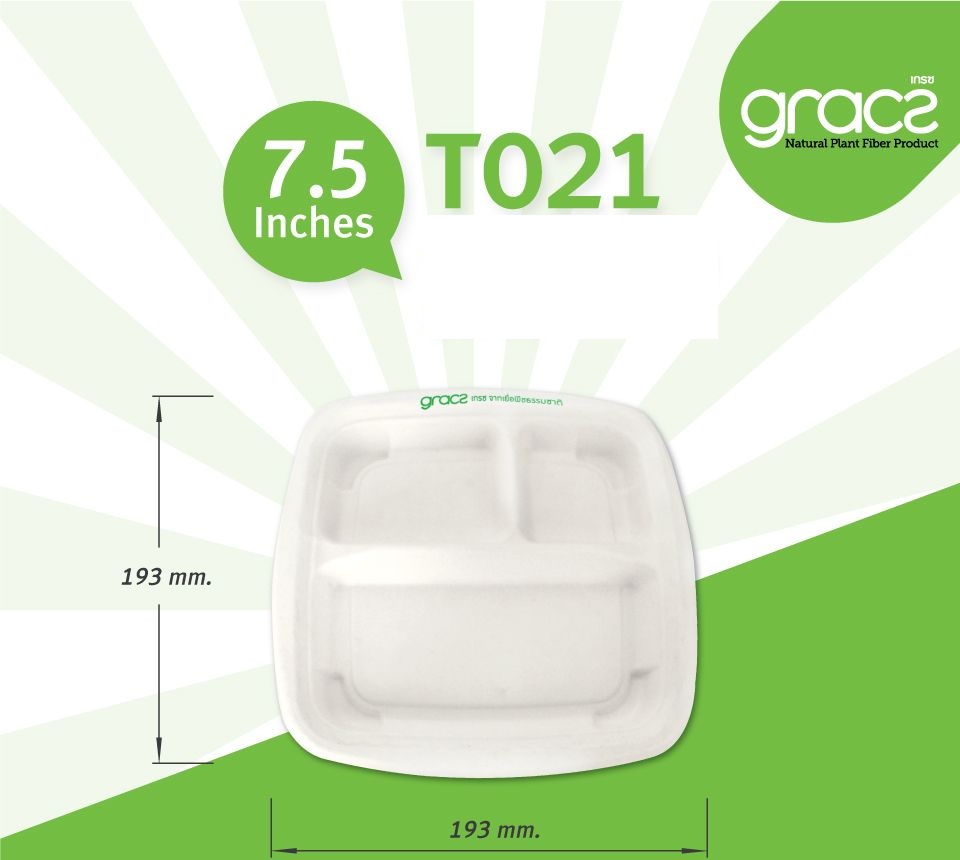 50 khay 3 ngăn bã mía thái lan 7.5 inch - thương hiệu gracz