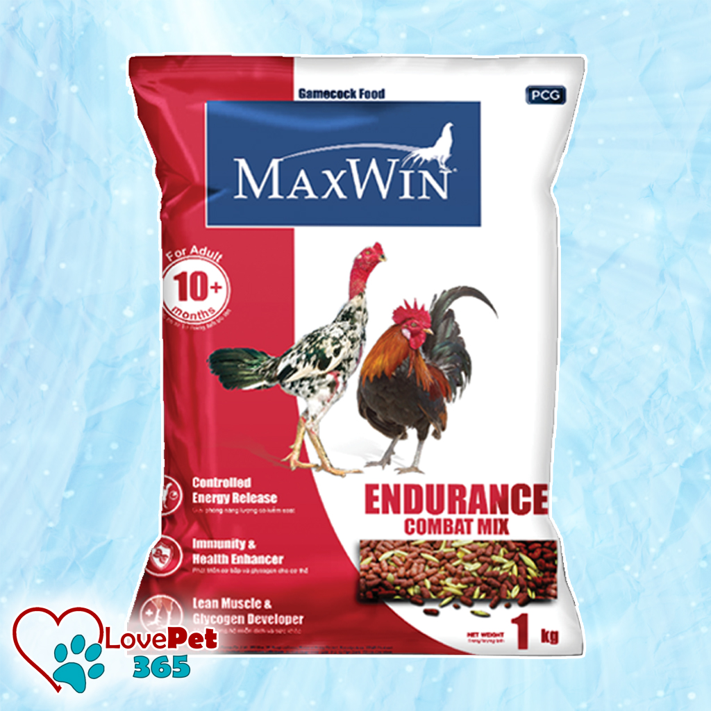 Thức ăn gà đá, thức ăn gà Maxwin, hạt cho chiến kê - Love Pet 365