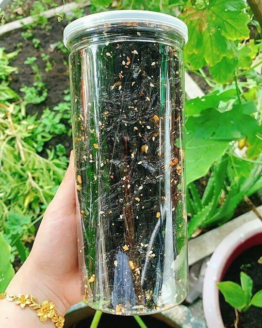 Rong biển cháy tỏi hũ 150 Gram - rong biển sấy ăn liền