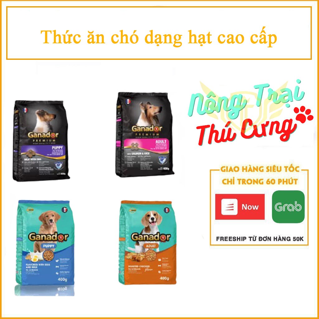 Hcm-bao 20kg ganador thức ăn chó dạng hạt cao cấp cho chó mọi lứa tuổi