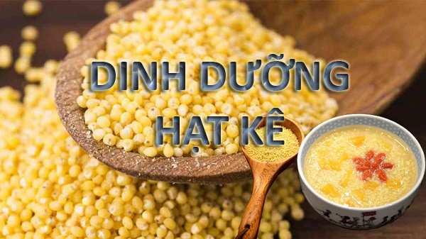 Hạt kê nếp vàng tách vỏ thuần chủng giàu dinh dưỡng, dẻo thơm