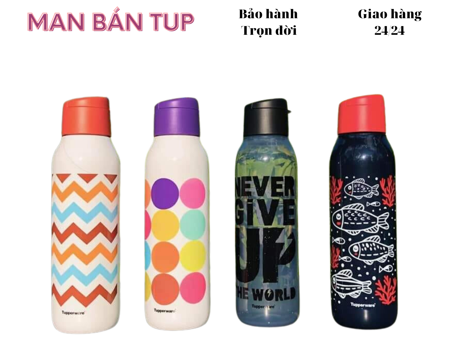Bình nước tupperware, eco bottle fancy 750ml v1